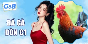 Đá Gà Đòn C1 - Cược Nhanh Thắng Lớn Minh Bạch Cùng GO8